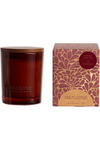 IMAGINE SOY WAX CANDLE (200g) - AMBER